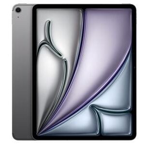 Apple 13-inch iPad Air Wi-Fi + Cellular - Tablette - 512 Go - 13" IPS (2732 x 2048) - 3G, 4G, 5G - gris sidéral